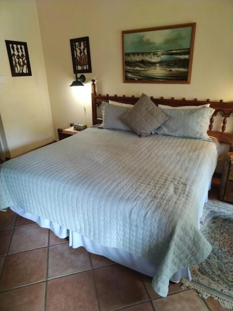 Bed and Breakfast Buona Notte Йоханнесбург Экстерьер фото